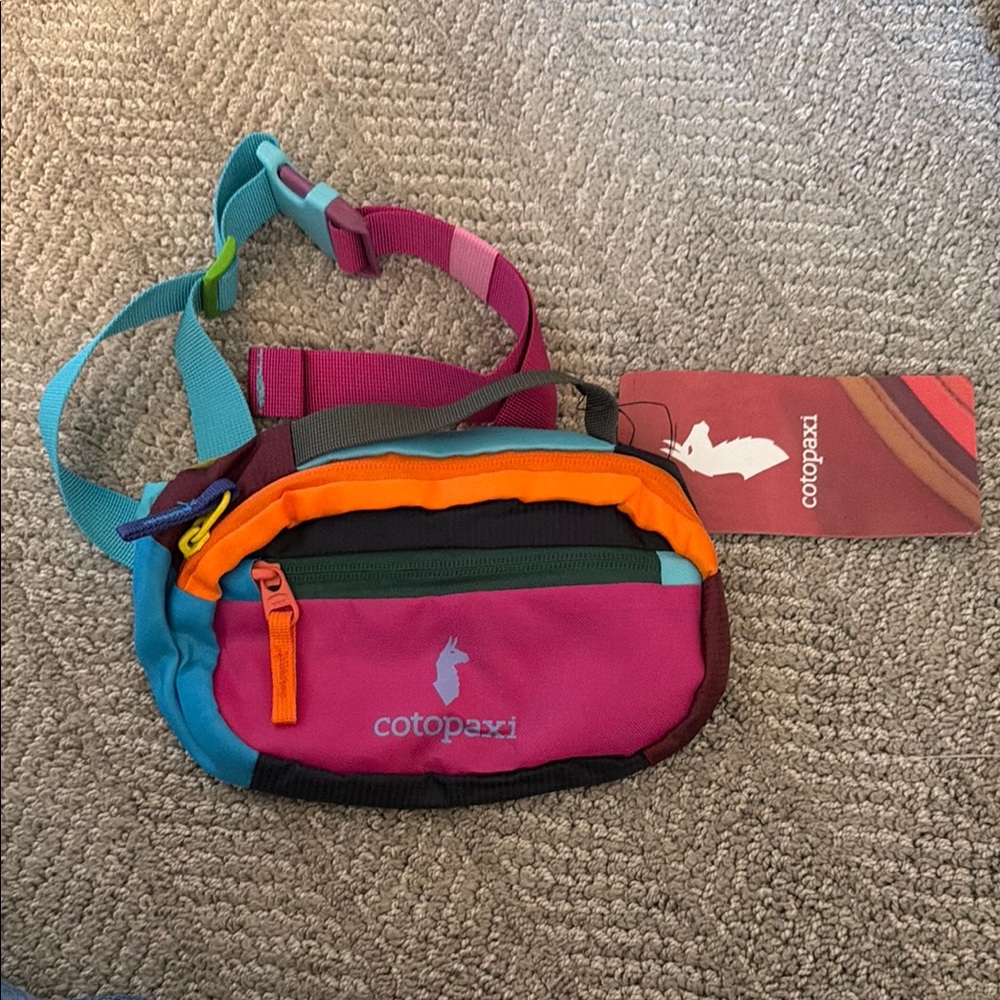 Cotopaxi Multicolor Del Día Hip Pack - Pink & Teal